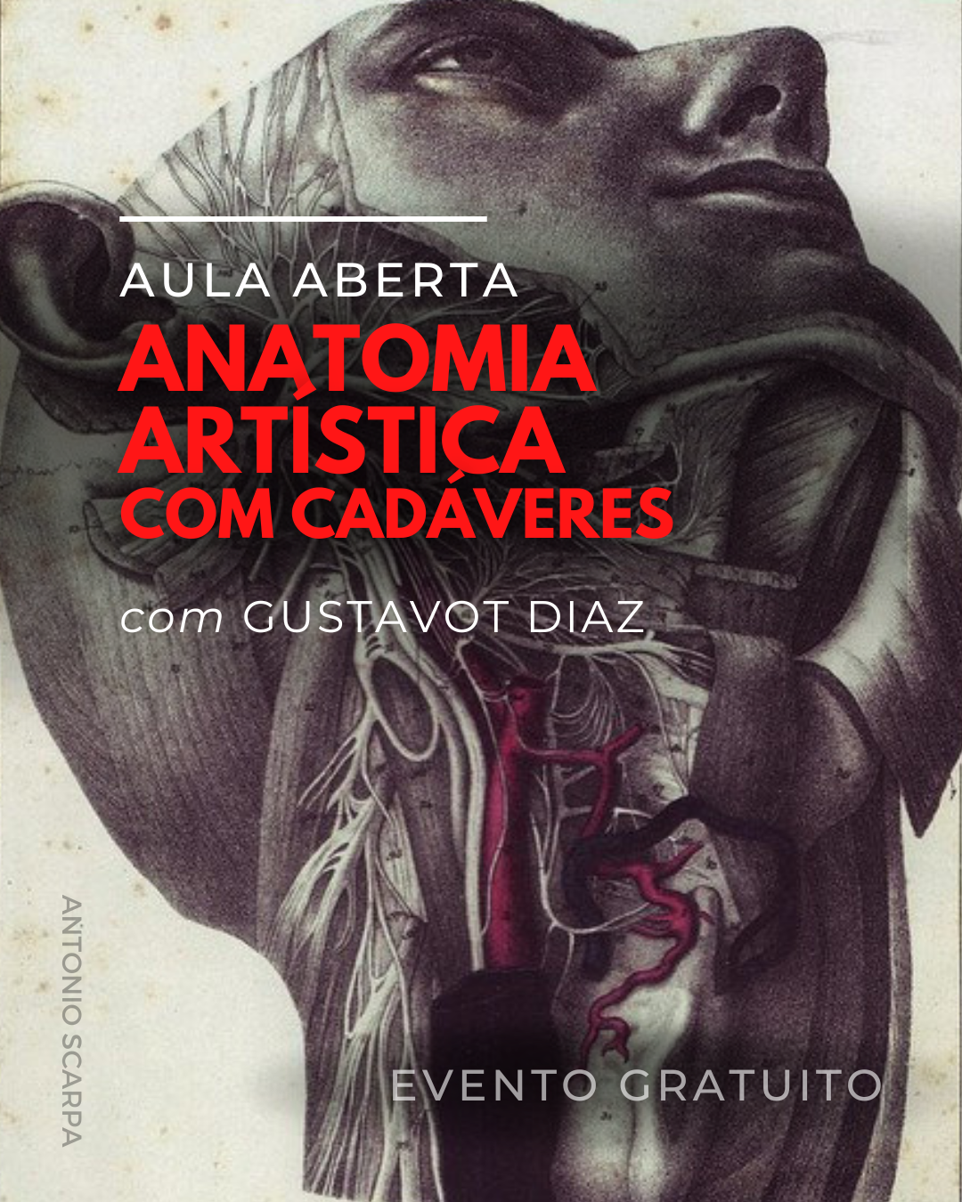 [FLORIANÓPOLIS] Aula Aberta: ANATOMIA ARTÍSTICA COM&nbsp;CADÁVERES