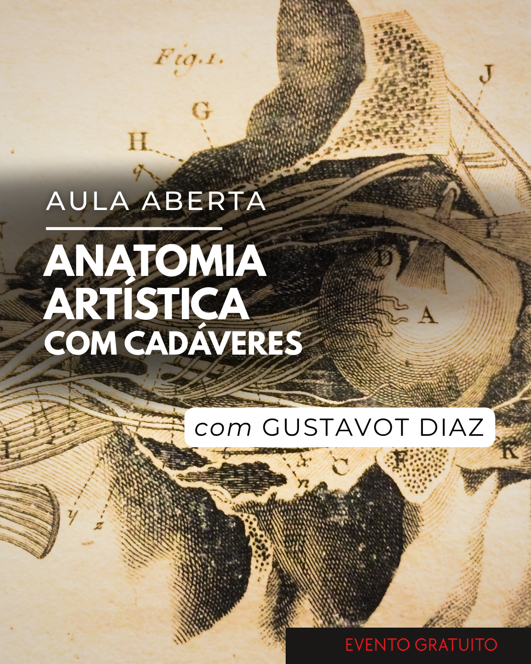 Anatomia artística com cadáveres | Aula aberta&nbsp;[FLORIANÓPOLIS]
